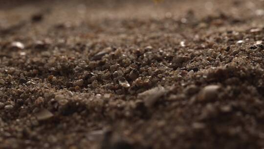 刷子扫除文物表面的沙子野外考古发掘升格