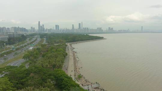 白天的深圳城市海湾景观视频素材模板下载