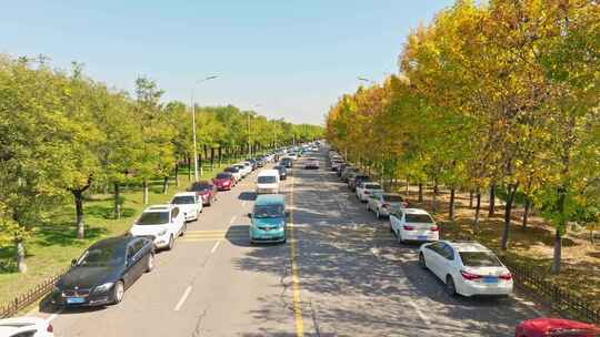 西安河堤路公路秋色