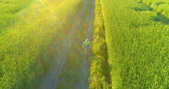 鸟瞰骑自行车穿过旧乡村公路上的麦草地的小