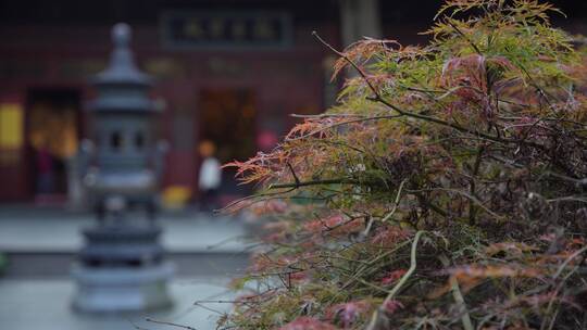 杭州飞来峰永福寺禅院风景