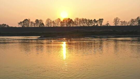 高清航拍日落夕阳江边小鸟鸭子鸟河水