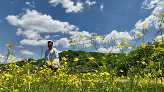 内蒙古呼伦贝尔大草原森林树林氧吧空气环保