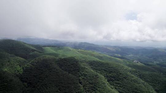 山与云海