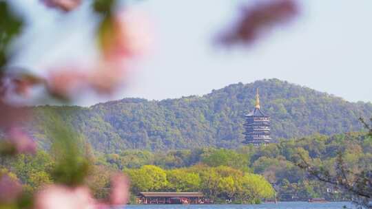 杭州西湖雷峰塔春天风景