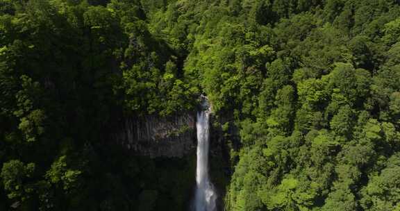 倾斜显示日本最大的瀑布那知大社的照片