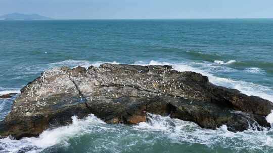 白鹤礁石海浪