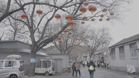 北京冬天生活 冬天街道