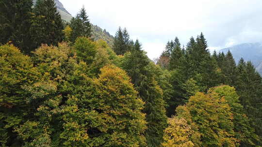 秋天从瑞士克劳森帕斯拍摄的瑞士阿尔卑斯山的航拍视频