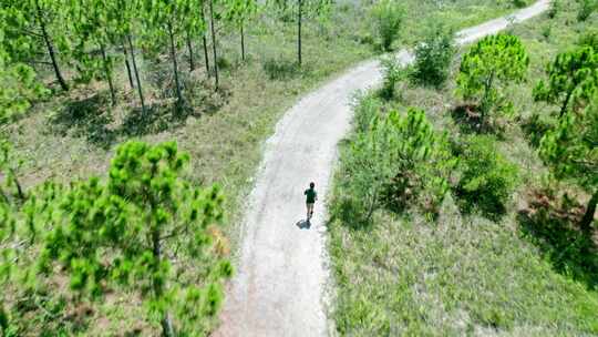 高加索男子在阳光明媚的绿色公共公园跑步的航拍视频。独自穿着运动服的活跃跑步者