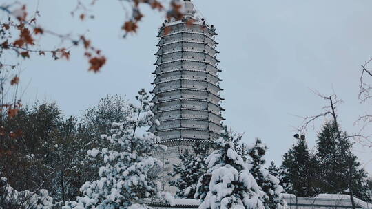 辽宁沈阳冬季古建筑舍利塔公园雪景风景视频素材模板下载