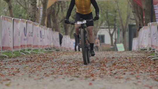 林间山地自行车骑行赛事
