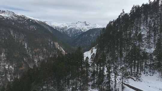 航拍雪山森林