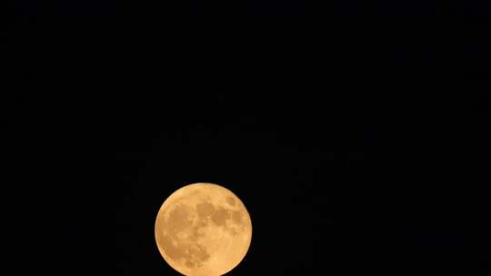 年内最大满月“超级月亮”现身夜空