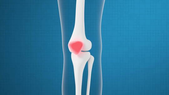 腿部膝盖骨骼与药物吸收 3D渲染视频素材模板下载