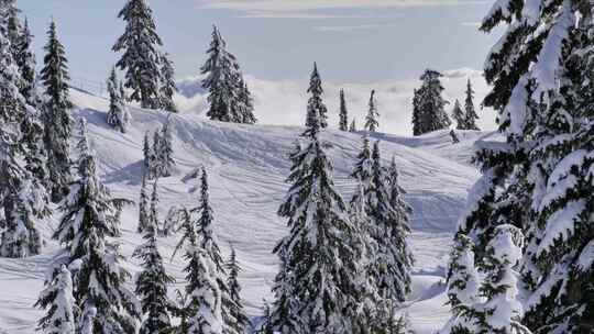 雪山风光