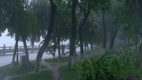 暴雨 倾盆大雨 雨水