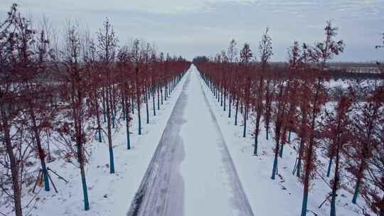 航拍汽车行驶在雪景中