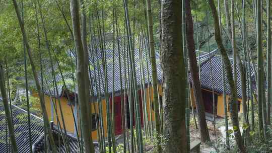 新昌大佛寺千佛殿视频素材模板下载