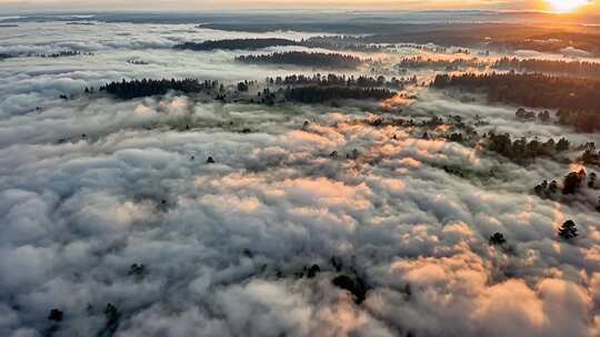 森林阳光云海森林云雾缭绕树林山大自然风景