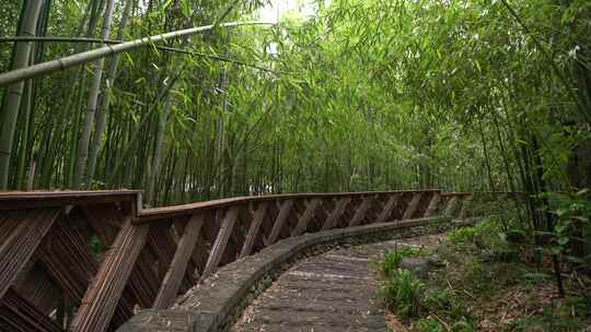 竹子竹林写意水墨