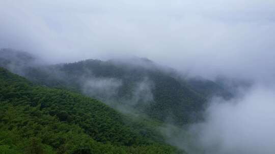 高山山峰云海云雾航拍