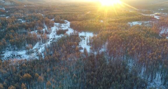 航拍漠河冻土地带松林雪景夕照