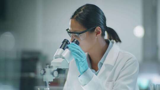 实验室，科学，女人，显微镜