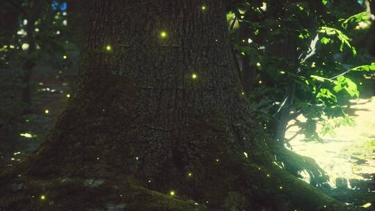 森林里的梦幻萤火虫