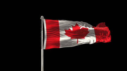 加拿大国旗旗帜标志logo带通道视频素材模板下载
