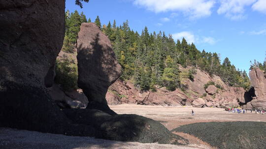 霍普韦尔岩石的加拿大旅游团视频素材模板下载
