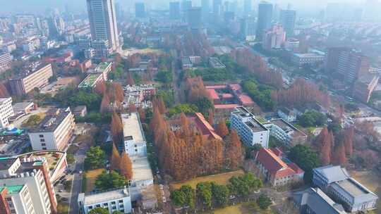 上海复旦大学邯郸校区航拍校园风景风光素材视频素材模板下载