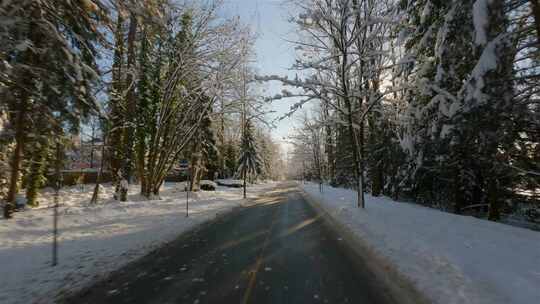 在雪中沿着冬季的道路行驶