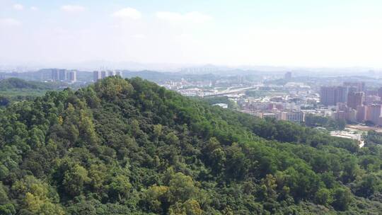 航拍深圳龙华区观澜立体生态绿化