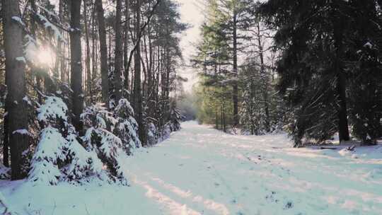 特写森林深处雾凇后的景象大雪茫茫