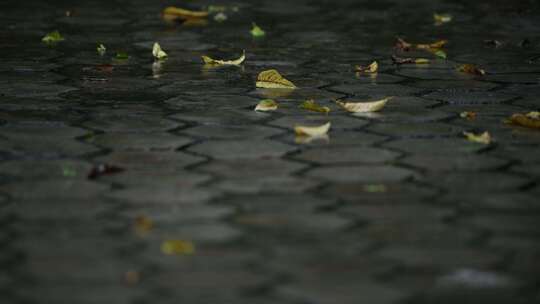 暴雨落在地面上