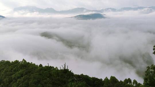 广州 延时摄影 云海 天空延时 自然景观