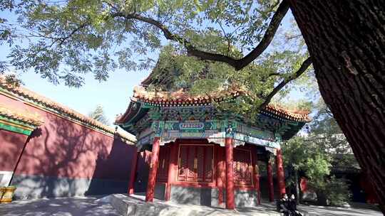 北京雍和宫旅游景点视频素材视频素材模板下载