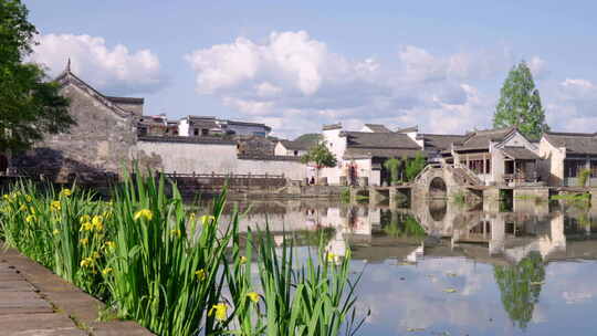 徽派建筑 江南水乡 小桥流水 古村落 夏天