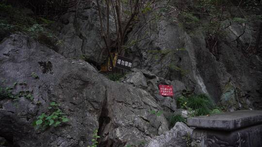 杭州吴山景区白鹿亭景点