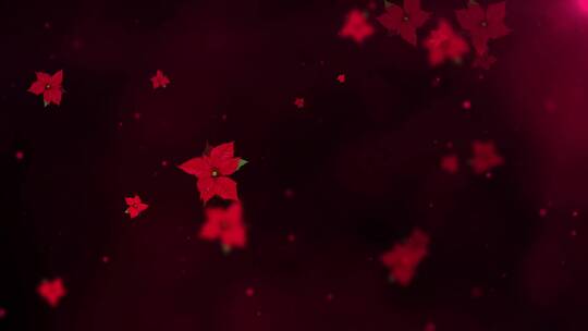一品红花瓣飘飞LED唯美背景演绎视频