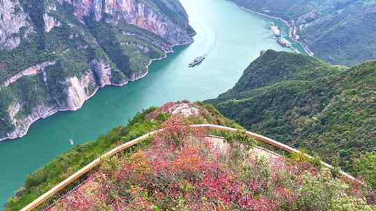 三峡红叶