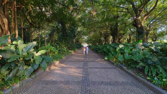 小孩子走在公园小路上