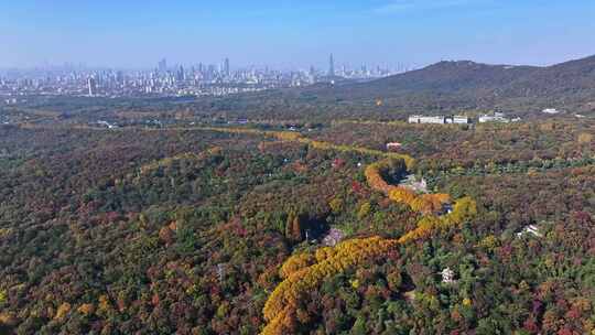 江苏南京中山陵灵山风景区音乐台秋色航拍