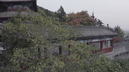 龙门石窟夜景航拍香山寺洛阳景点文化