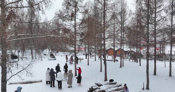 雪后树林中人们与动物的互动场景