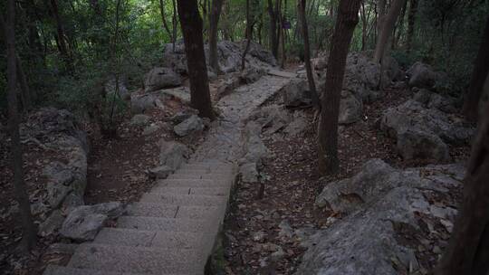 杭州灵隐寺飞来峰顶