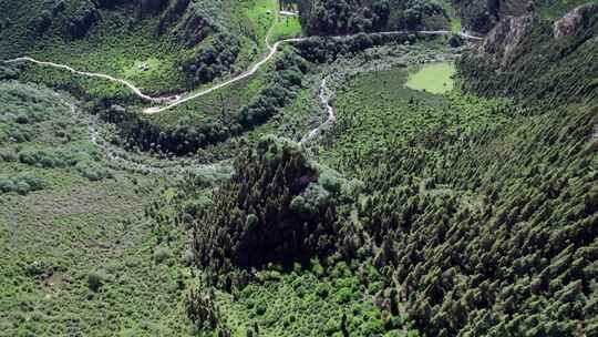 仓家峡 林场 航拍 森林 石山