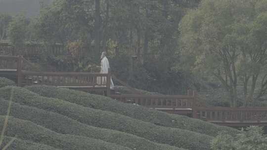 古风人物庭院漫步 东方意境 古代中医