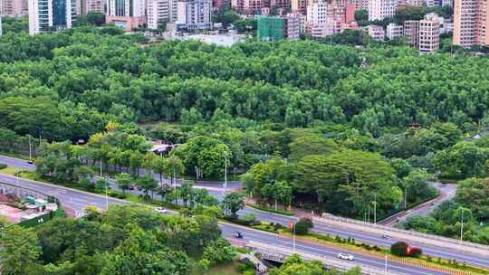 惠州大亚湾红树林公园城市中的绿地与高楼